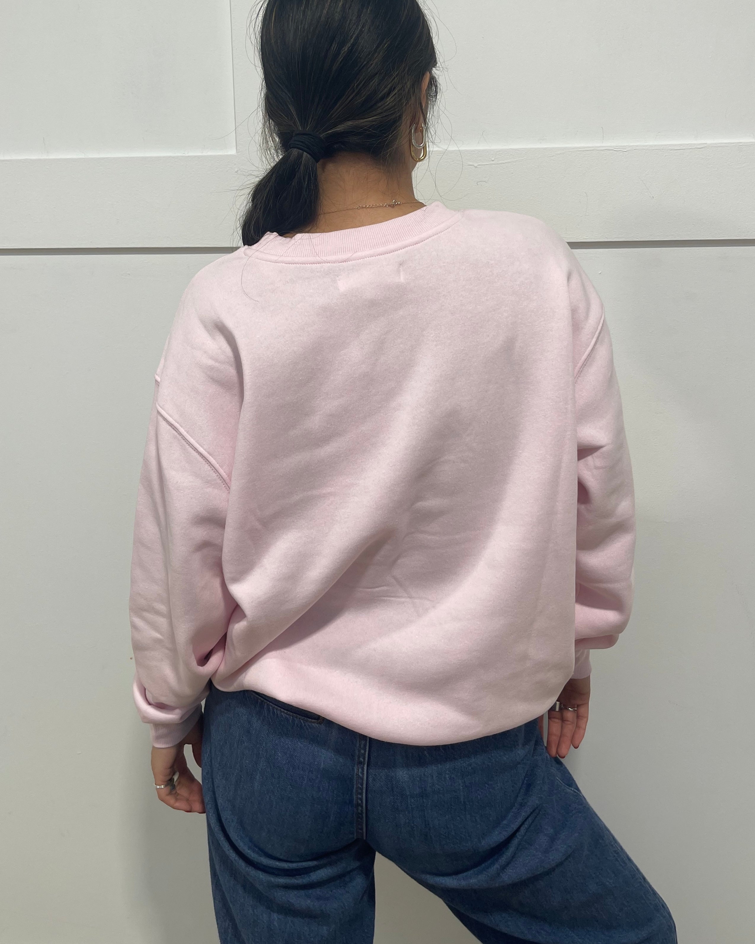 Palm Springs Embroidered Crewneck Sweatshirt