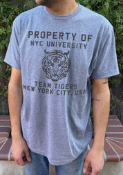 grey t-shirt for boys that says "Property of NYC University" and a picture of a tiger on it in brown