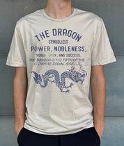 Boy's light yellow t-shirt that says "The dragon symbolizes power and nobleness" in blue text