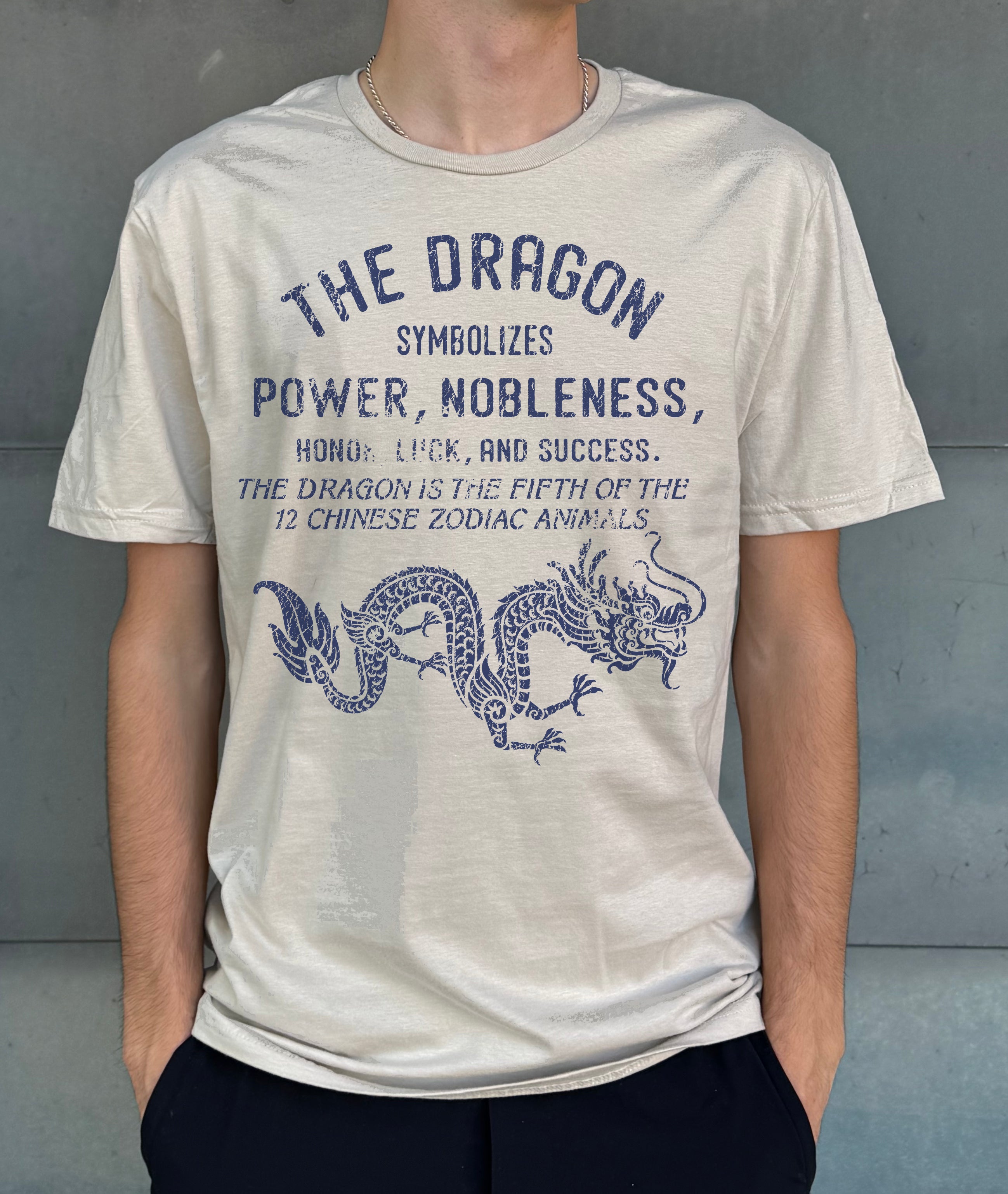 Boy's light yellow t-shirt that says "The dragon symbolizes power and nobleness" in blue text