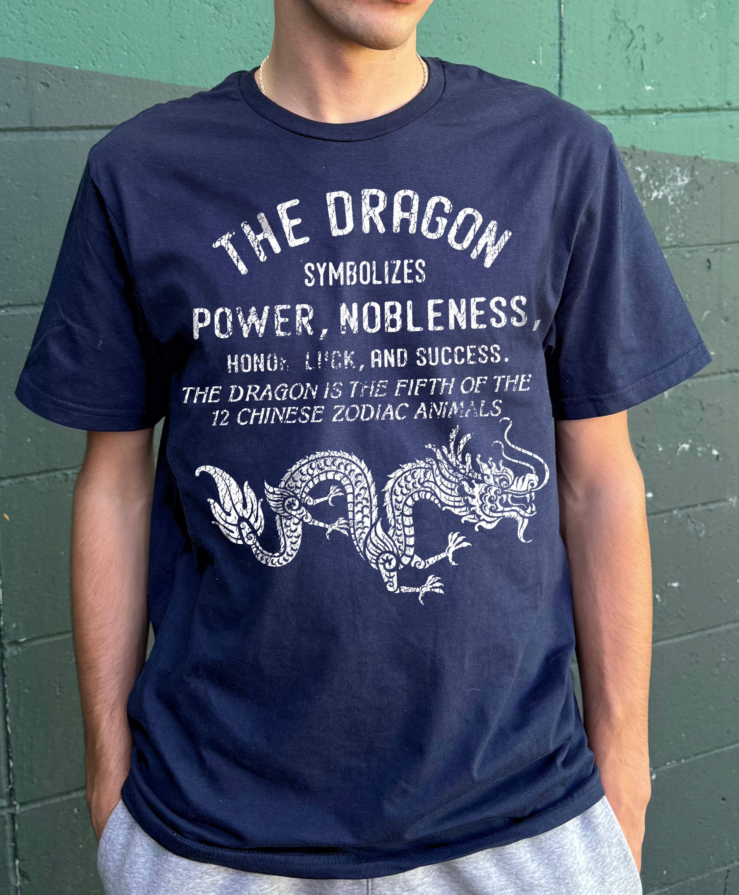 Boy's blue t-shirt that says "The dragon symbolizes power and nobleness" in white text
